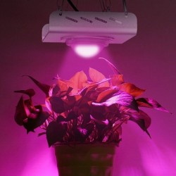 Led Bitki Yetiştirme Lambası – 100w - Full Spectrum Led