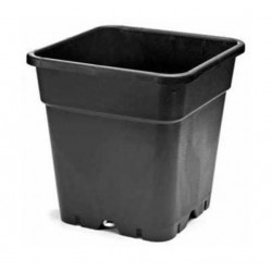 BATO KARE SAKSI 18 Litre