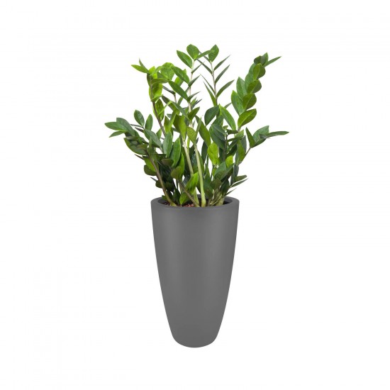 Elho - PURE SOFT - 50cm ANTRASİT Saksı Elho - PURE SOFT - 50cm ANTRASİT Saksı