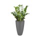 Elho - PURE SOFT - 50cm ANTRASİT Saksı Elho - PURE SOFT - 50cm ANTRASİT Saksı