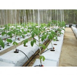 Hindistan Cevizi Kabuğu (COCOPEAT) TORBA 100x20x16cm