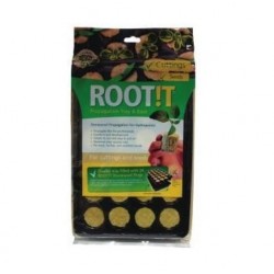 ROOT!T Kayayünü Viyol - 24 Gözlü